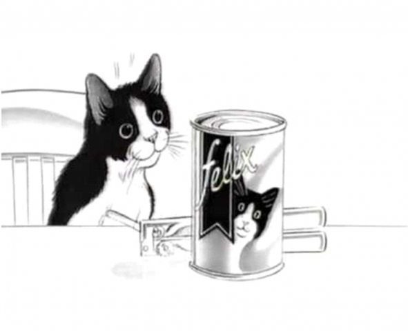 pic_7264.png